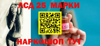 стаф Можга