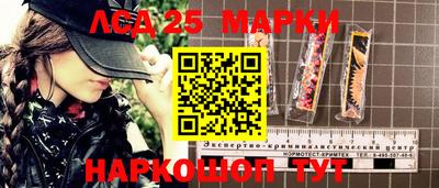 стаф Можга