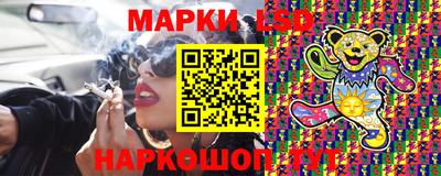 стаф Можга