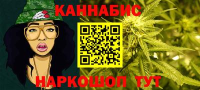 стаф Можга