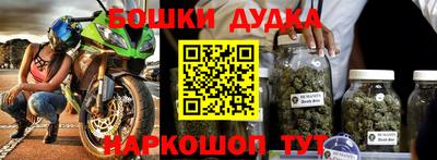 стаф Можга