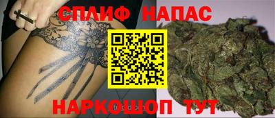 стаф Можга