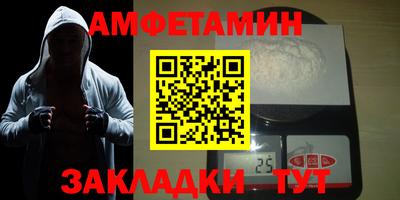 стаф Можга