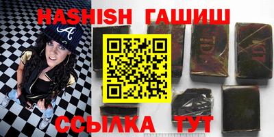 стаф Можга