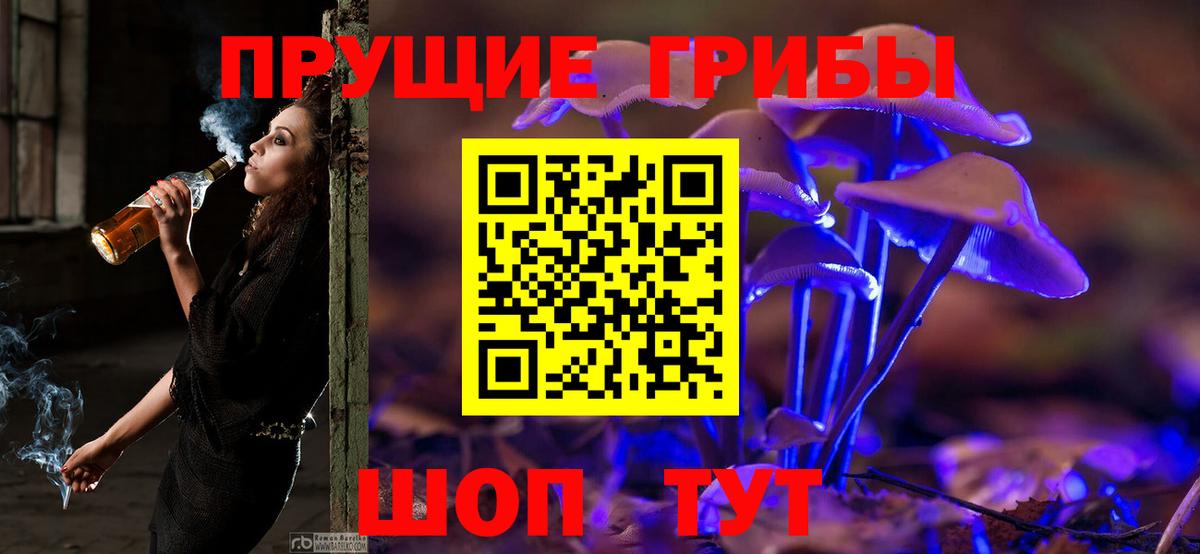 Десногорск  Псилоцибиновые грибы GOLDEN TEACHER  Псилоцибиновые грибы мухоморы  Вход с VPN 